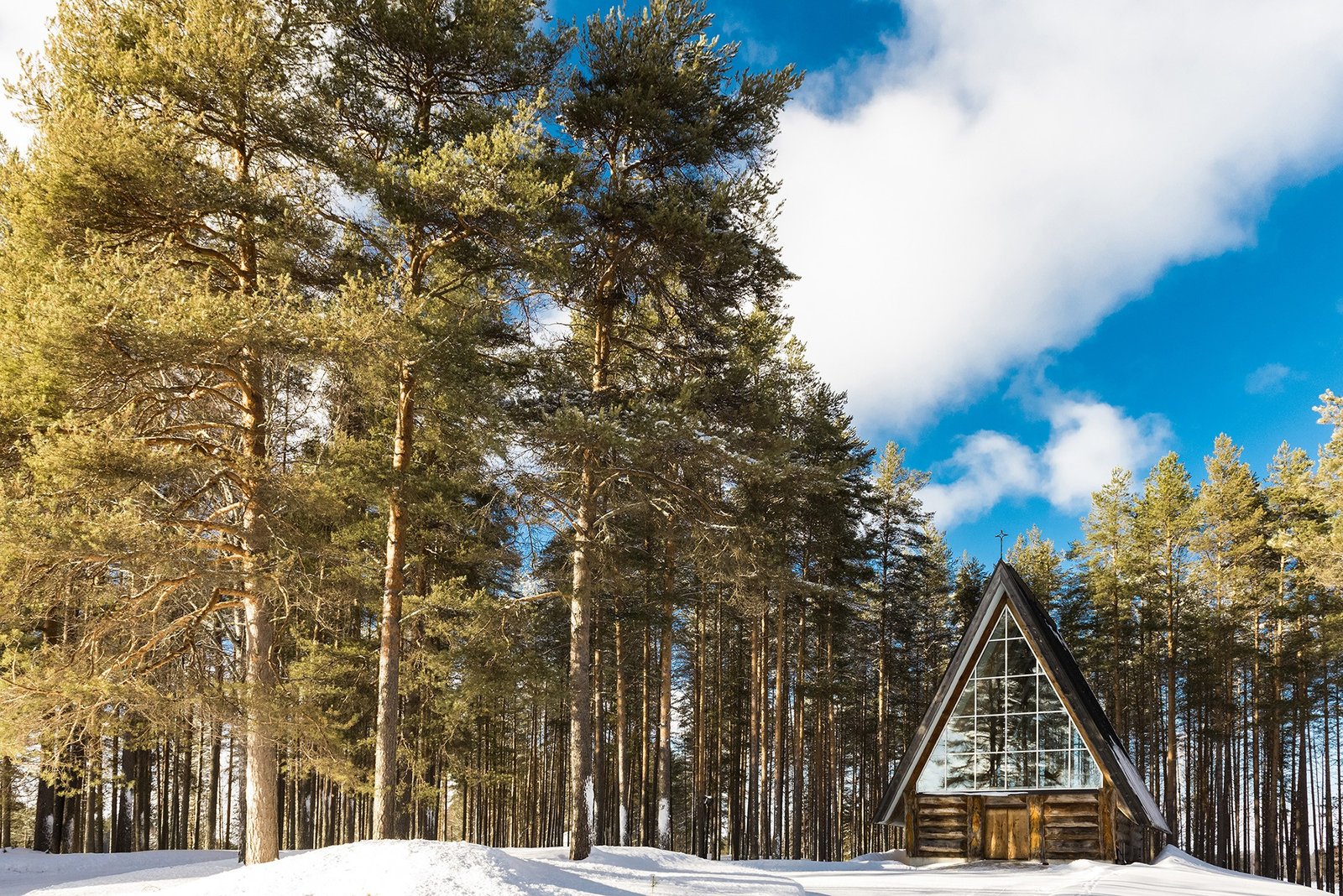 Foto de casa con pinos y nieve
